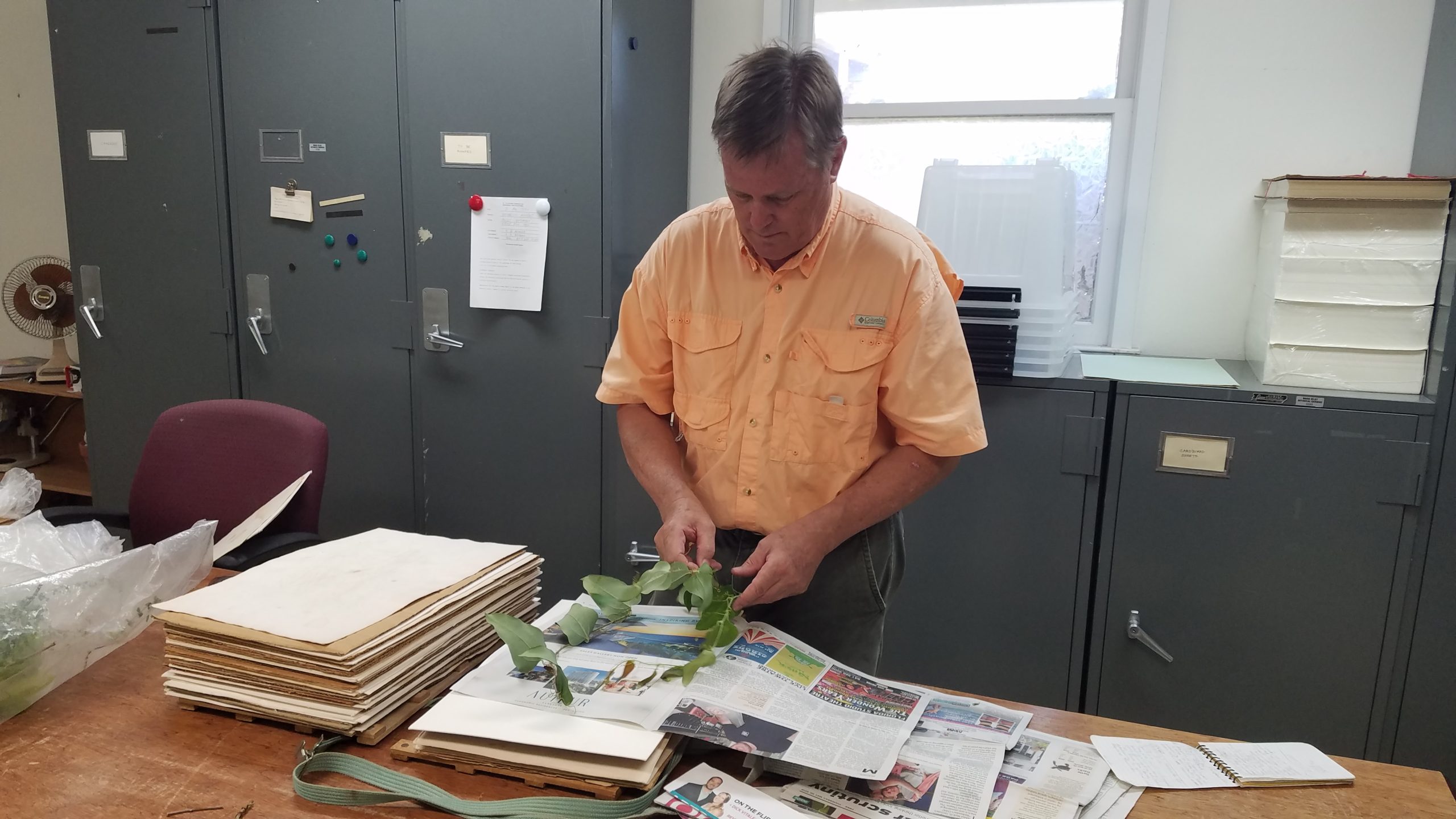 20210503_132714 Bruce presses species in herbarium