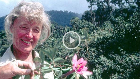 People Behind the Plants: Libby Besse