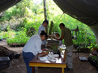 Preparing specimens at Cave's Branch Lodge in Belmopan, Belize