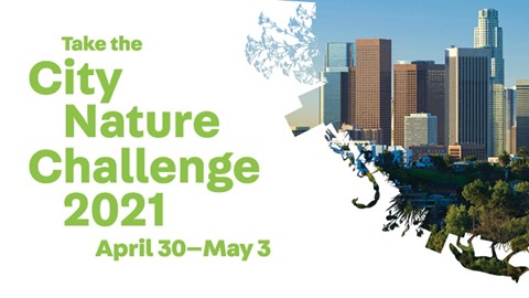 city nature challenge logo City Nature Challenge Logo