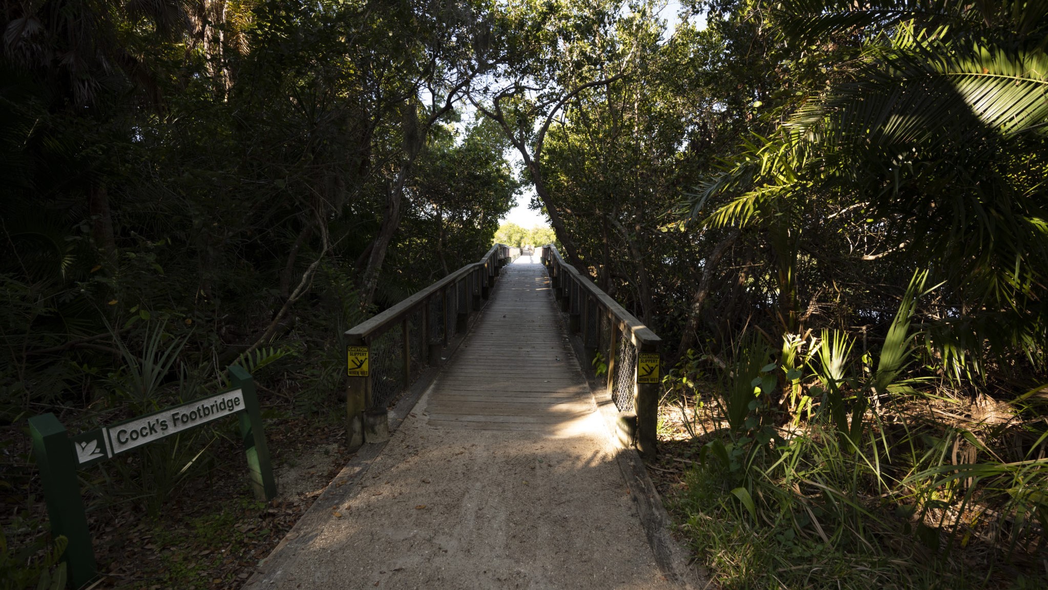 Cocks-Footbridge-at-Selby-Gardens-Historic-Spanish-Point-campus-2-1-2048x1365 Entrance to Cocks Footbridge