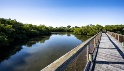 Cock's Footbridge at Selby Gardens' Historic Spanish Point Campus (2) Cocks Footbridge at Spanish Point