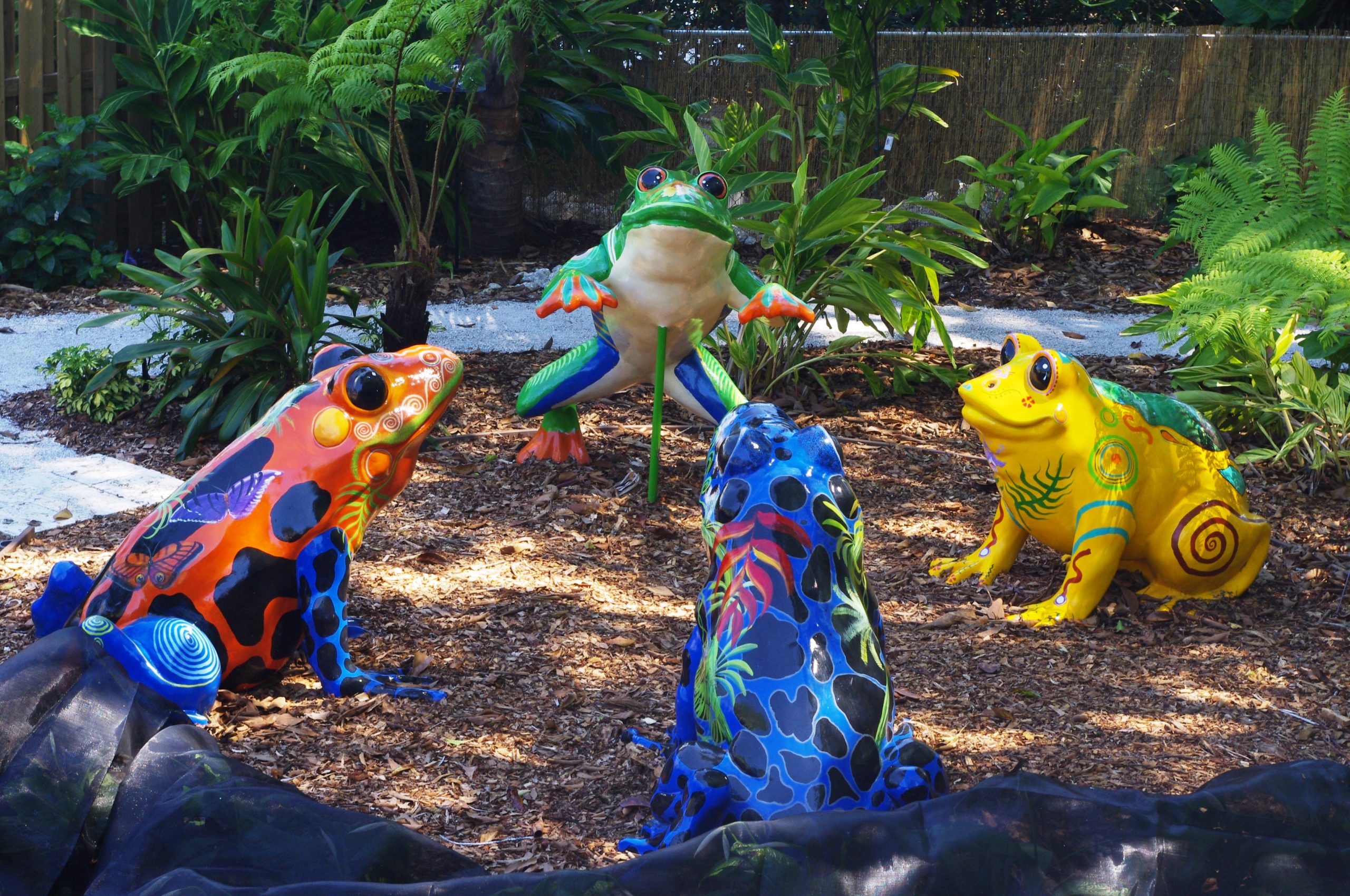 CRG Updates - Aug 2015 - BKS (4)(2) frogs in Children's Rainforest Garden