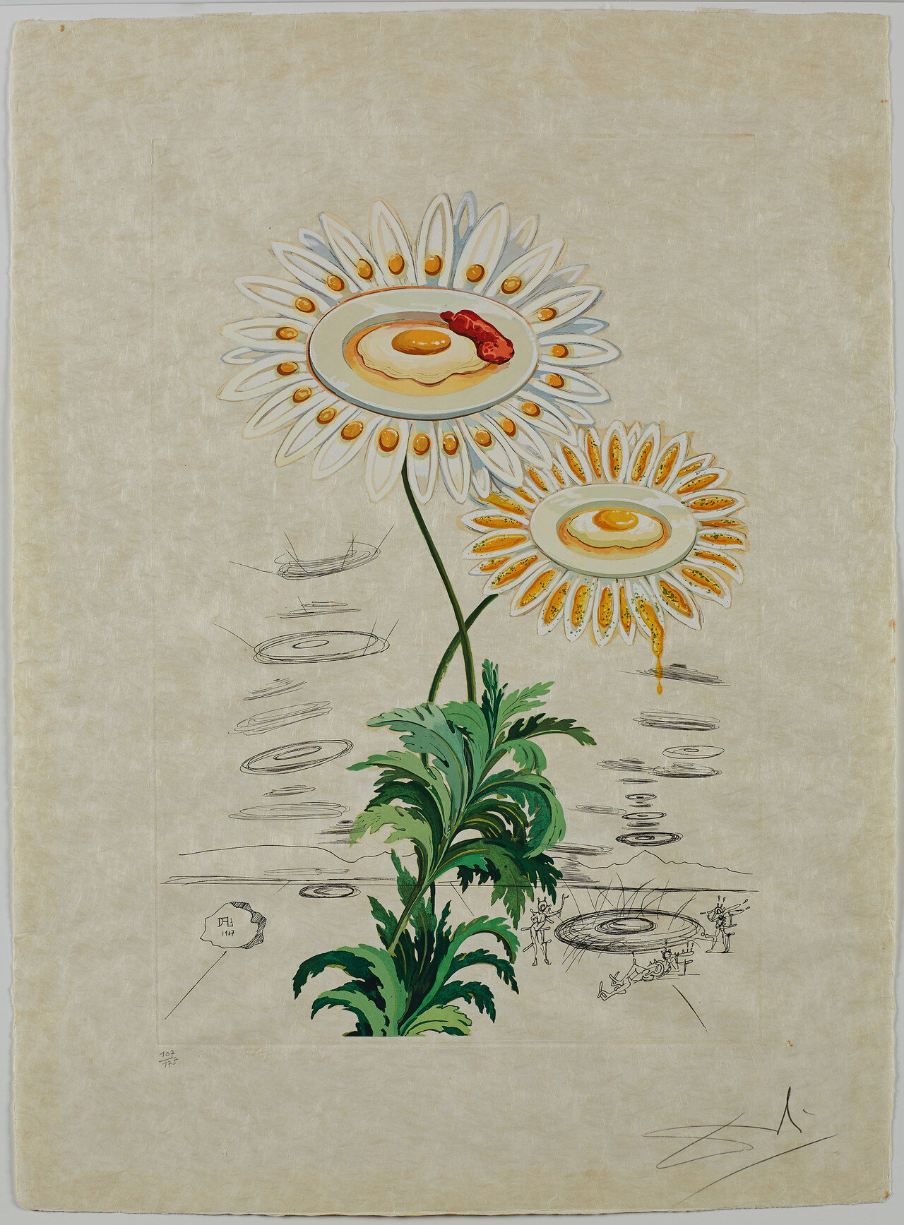 DALI - Selby 20195395LARGE web