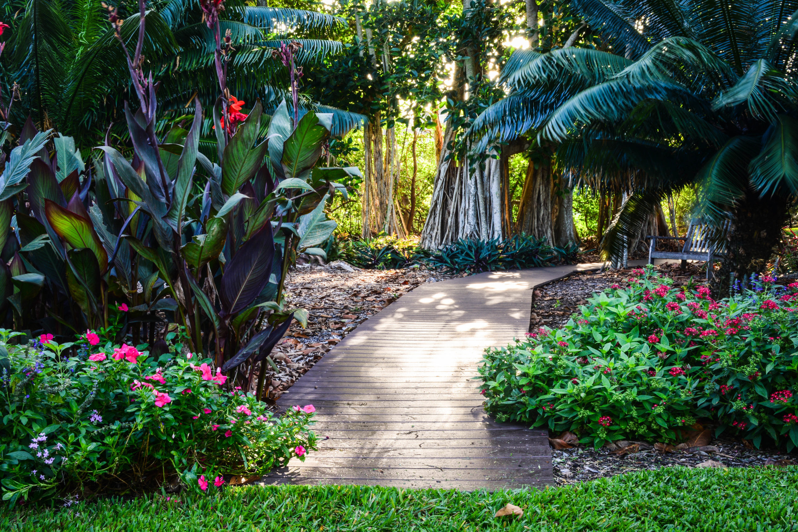 DSC_7430-1 Garden Pathway