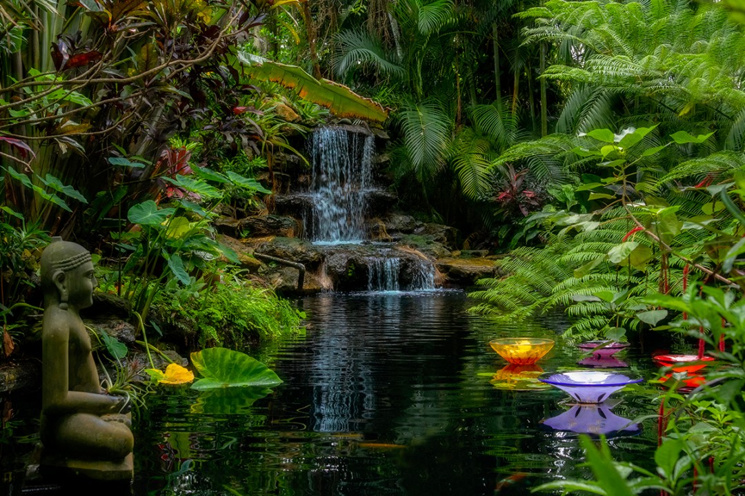 first fave selby scene 2021 Serenity by Brenda Mitchell