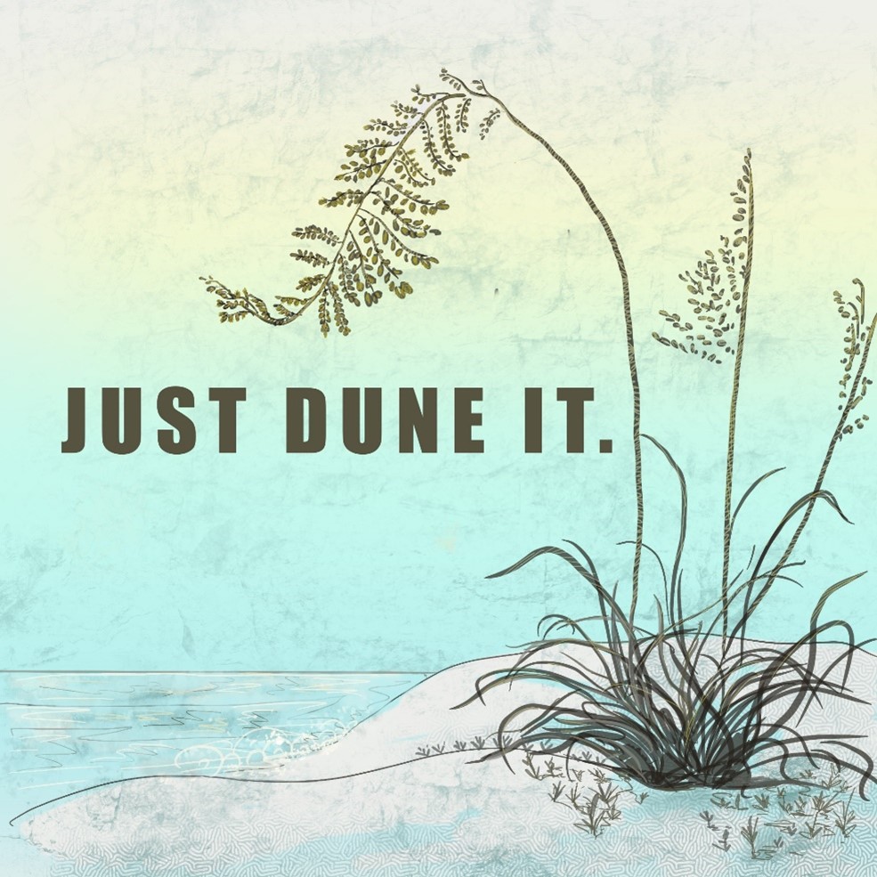 Just dune it logo Just Dune It illustrated
