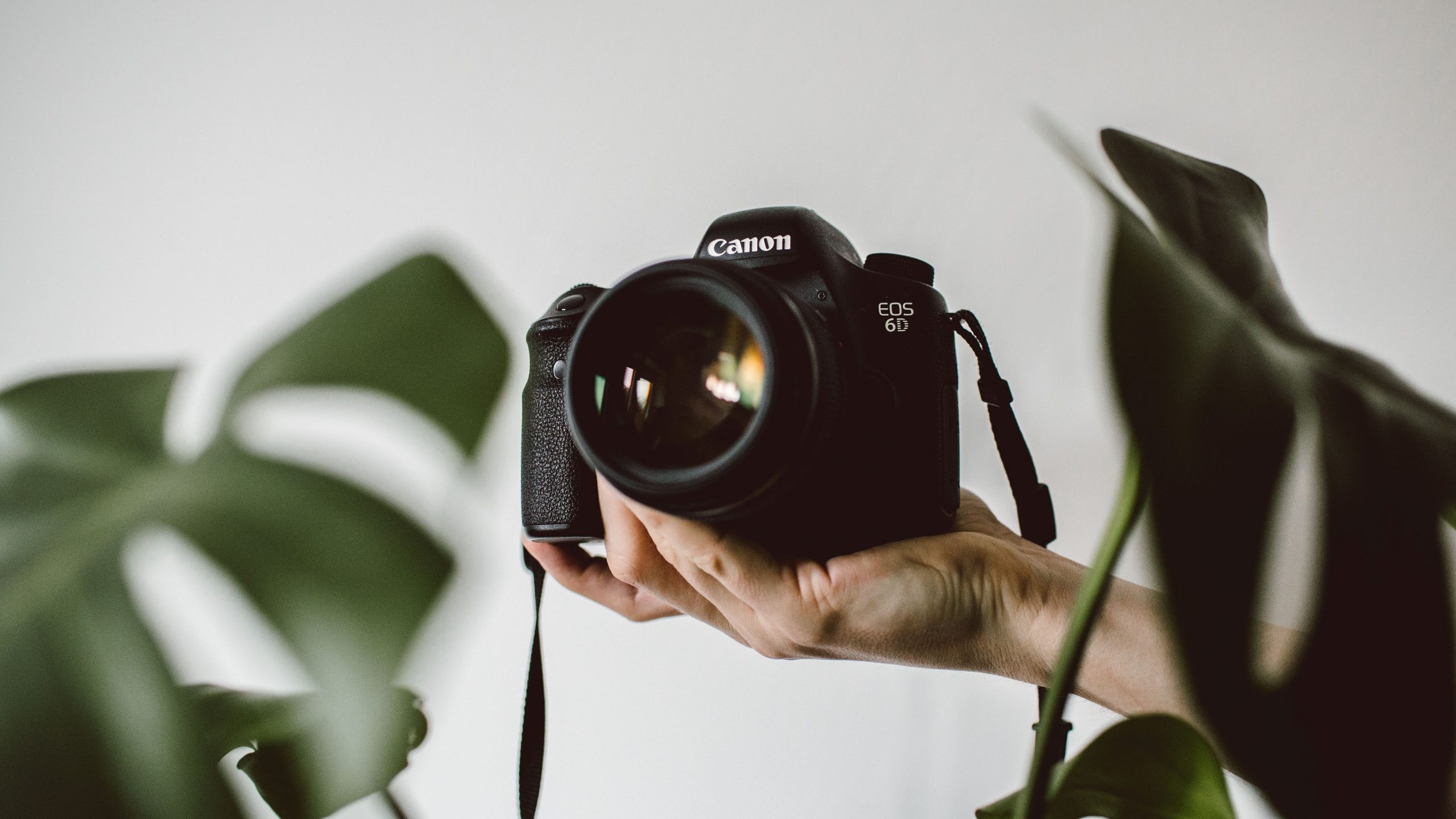 lilly-rum-L6W9ZIQ5saM-unsplash-scaled