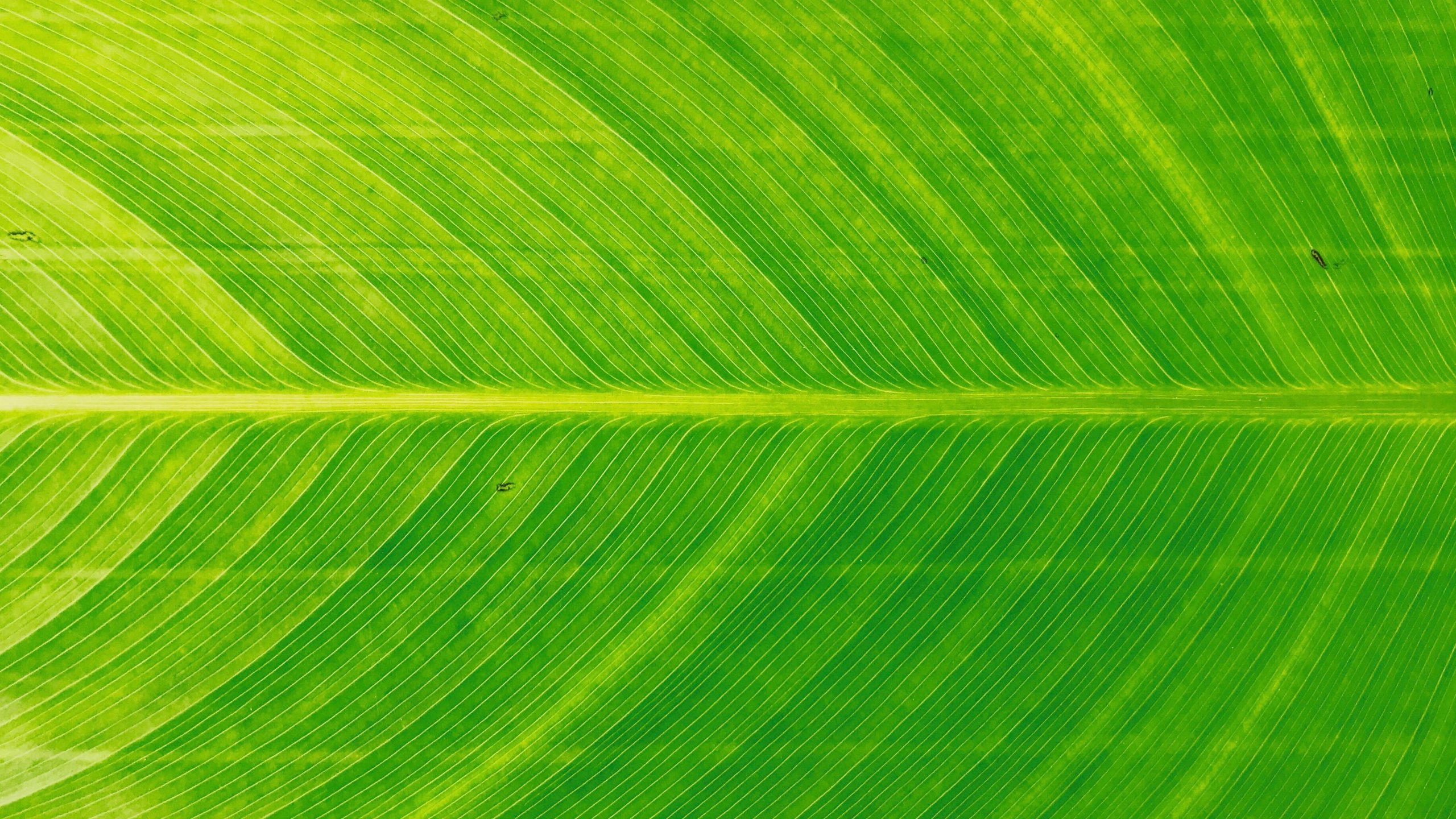 mark-lyu-BDIcmo7netA-unsplash-scaled