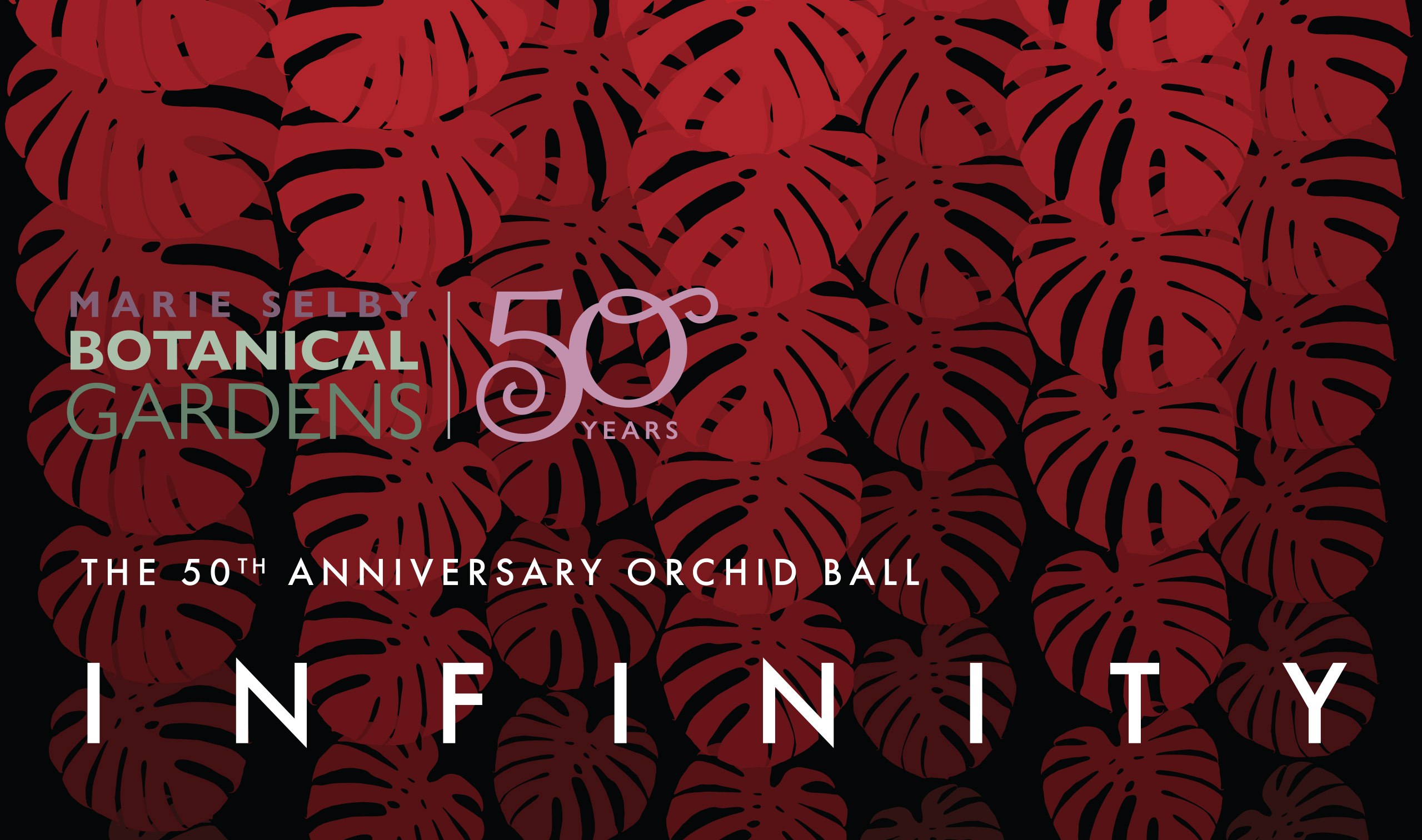 OB for web 2 The Orchid Experience logo