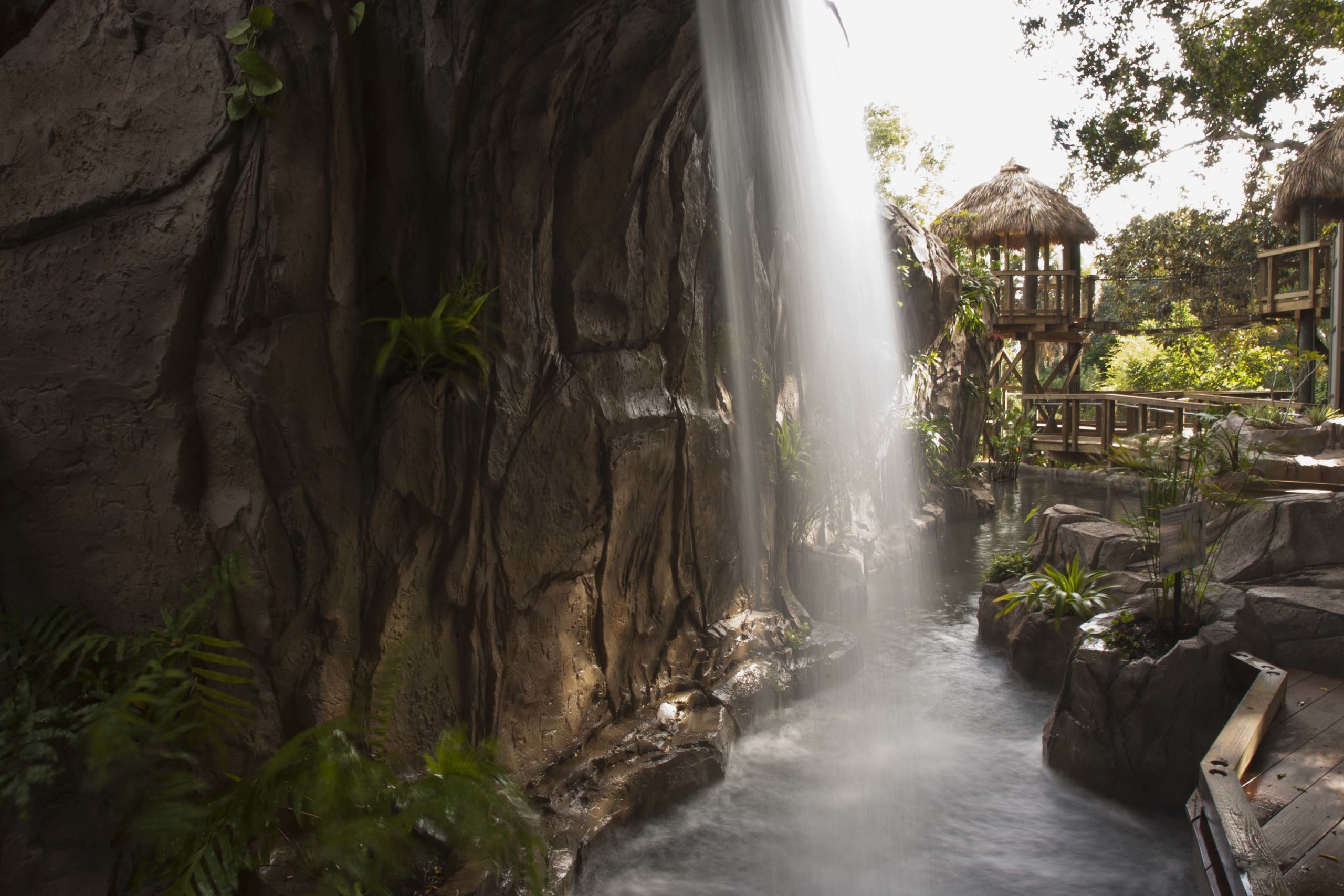 Rainforest garden waterfall Rainforest Garden Waterfall