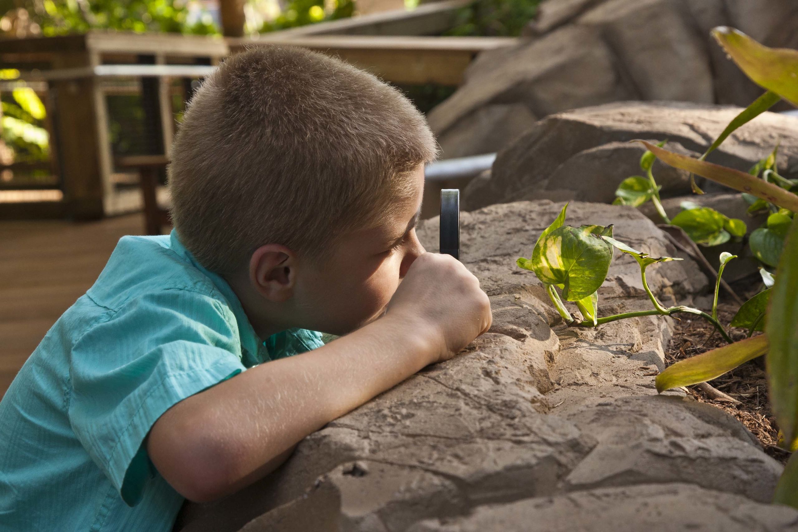 Rainforest science_1 Child with Magnifying glass