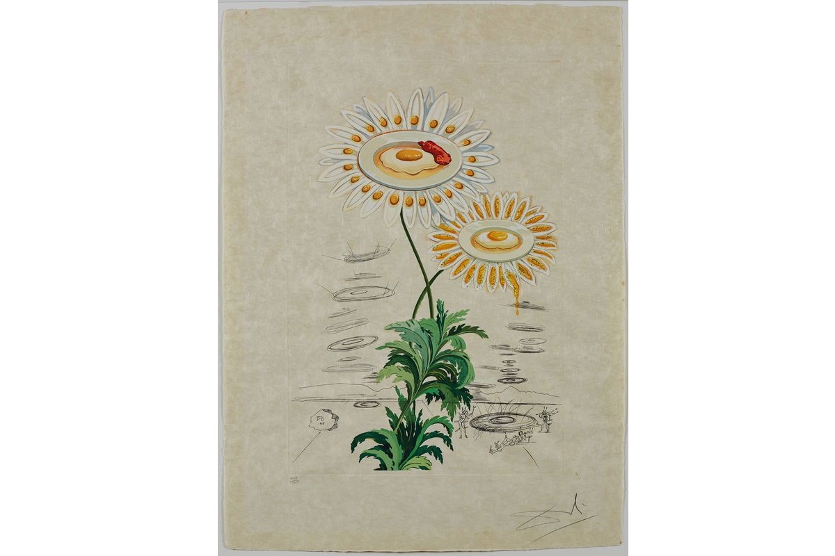 DALI - Selby 20195395LARGE web