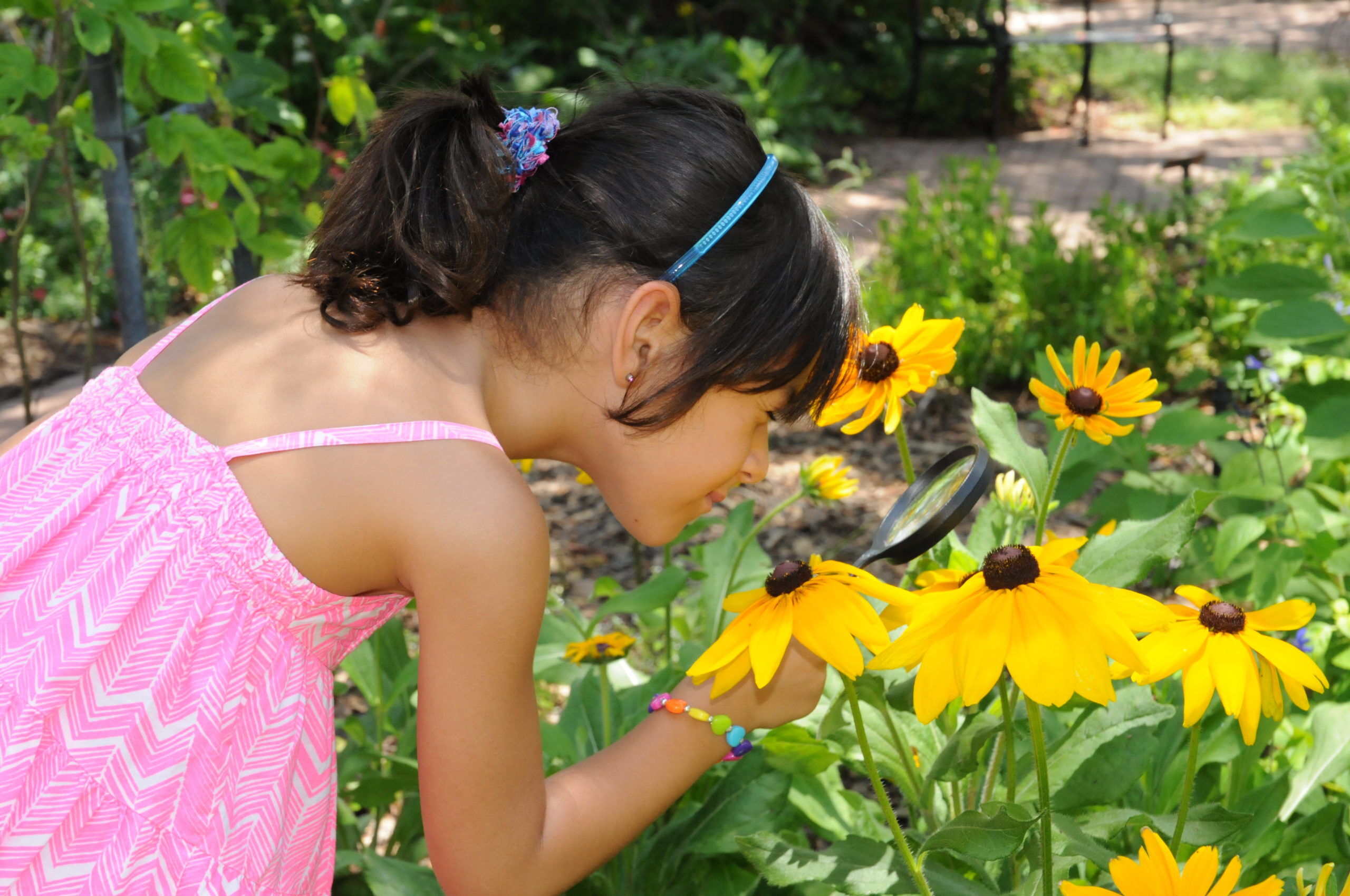 Taking a closer look at the Gardens Girl Examines Daisy