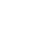 AAM Logo