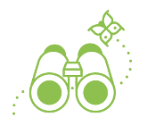 binoculars