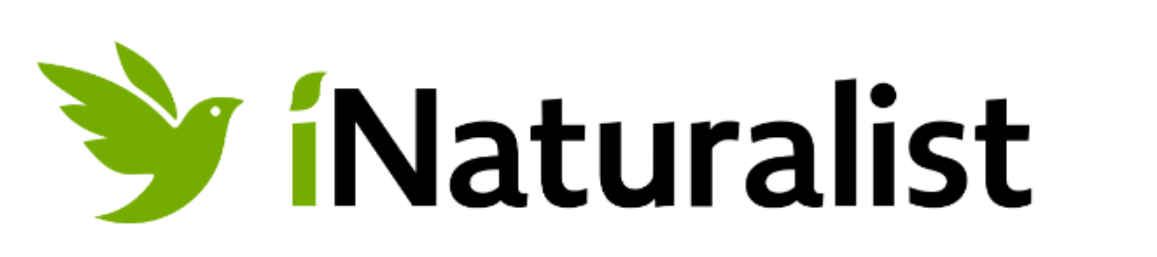 inaturalist iNaturalist Logo
