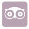 Trip Advisor Icon